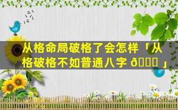 从格命局破格了会怎样「从格破格不如普通八字 🐅 」